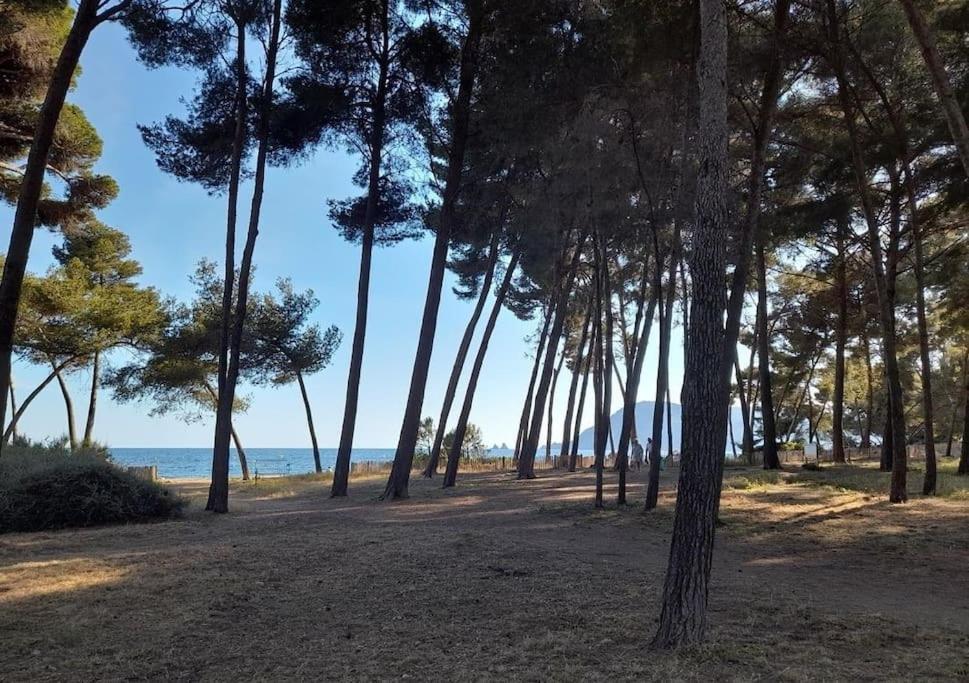 De 50 M2 Cosy Et Moderne A 100 M De La *