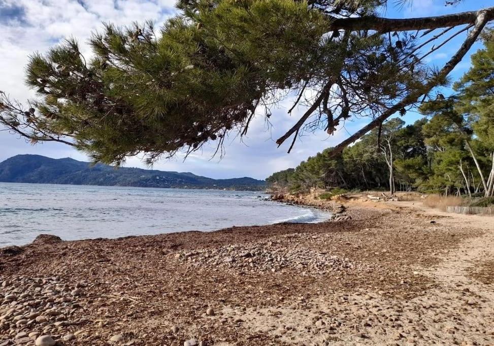 Apartamento De 50 M2 Cosy Et Moderne A 100 M De La Saint-Mandrier-sur-Mer
