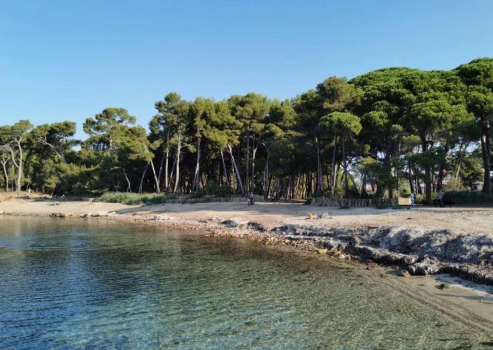 De 50 M2 Cosy Et Moderne A 100 M De La Apartamento